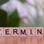 Логические аспекты немецких игровых порталов и их структура